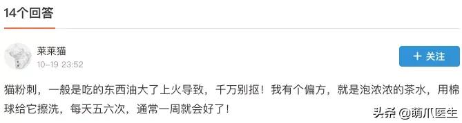 猫咪下巴长了黑头？千万别去抠，那是猫咪患上了毛囊炎的症状
