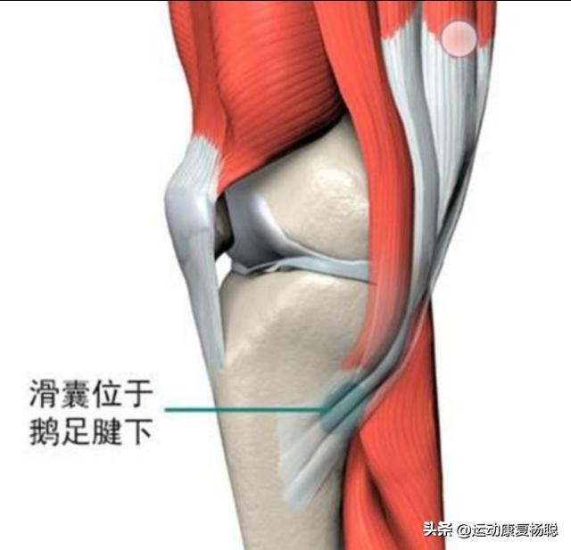 膝关节疼痛分类,膝关节疼痛是什么症状