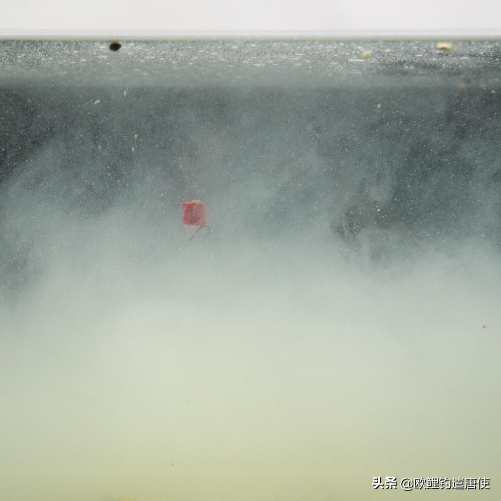 钓鱼拉饵多长时间调漂,钓鱼拉饵调漂的正确方法