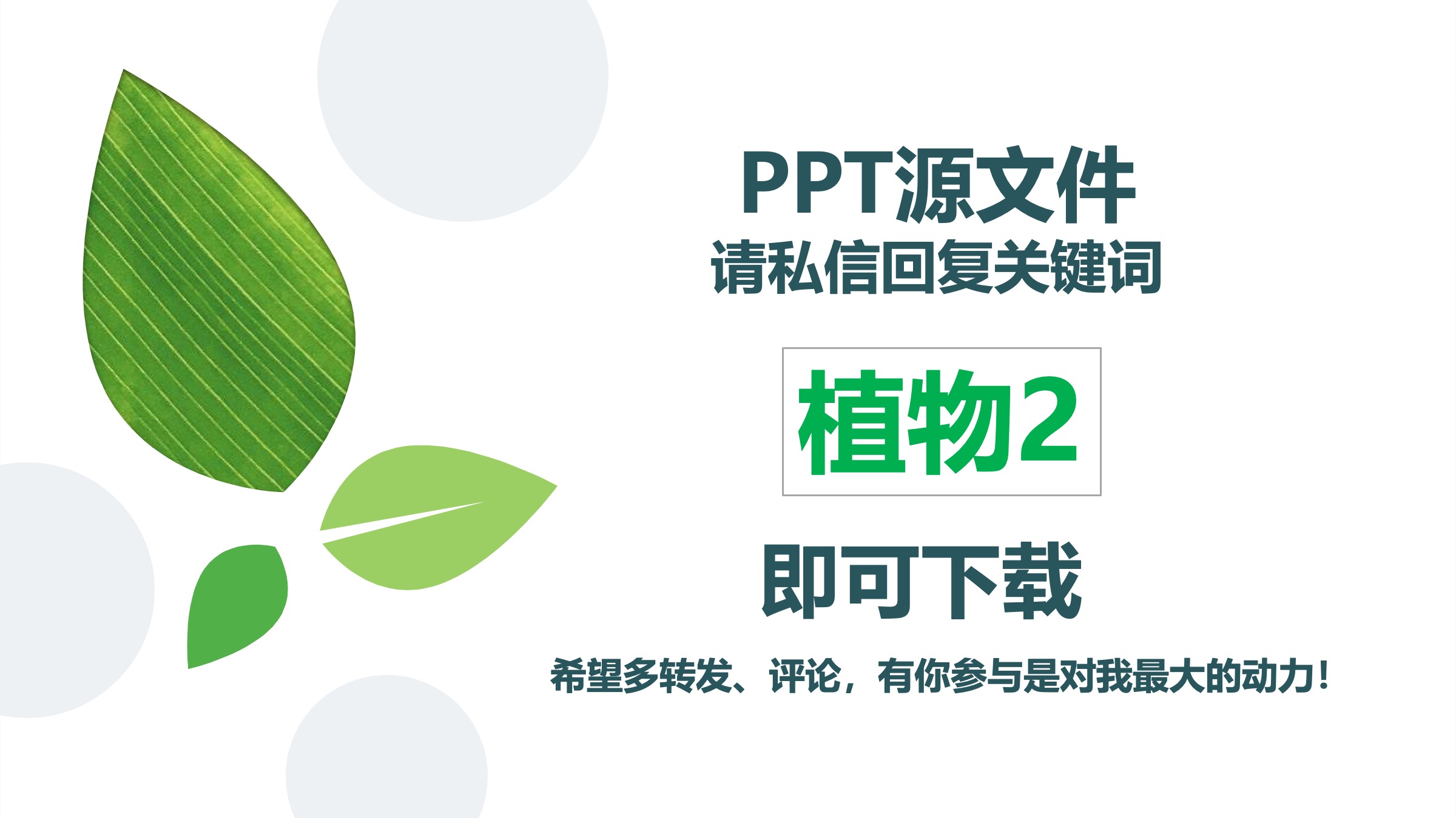 鍏充簬妞嶇墿涓婚鐨刾pt妯℃澘,妞嶇墿ppt楂樼骇灏侀潰