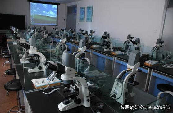 小米便携式显微镜,堪比望远镜的手机2000以下