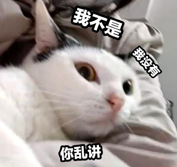 床和床垫如何匹配,床跟床垫的搭配有什么讲究