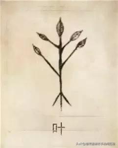 中国100大姓氏图腾大全,姓氏图腾大全史姓图腾是什么