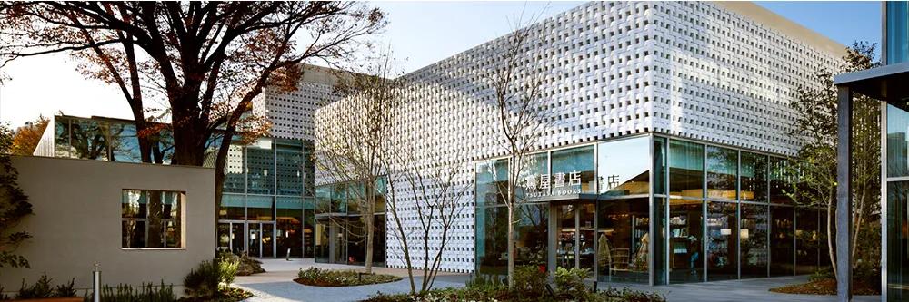 teamlab会来上海吗,teamlab上海