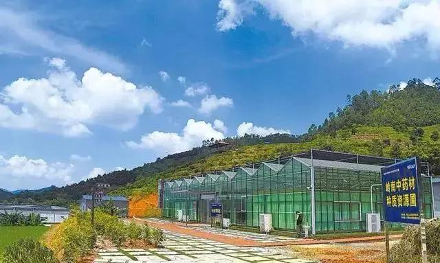 待到春暖花开时与你共赏樱花烂漫,待到春暖花开日便是把酒言欢时