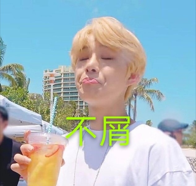 nct成员归位总结,nct各成员定位图