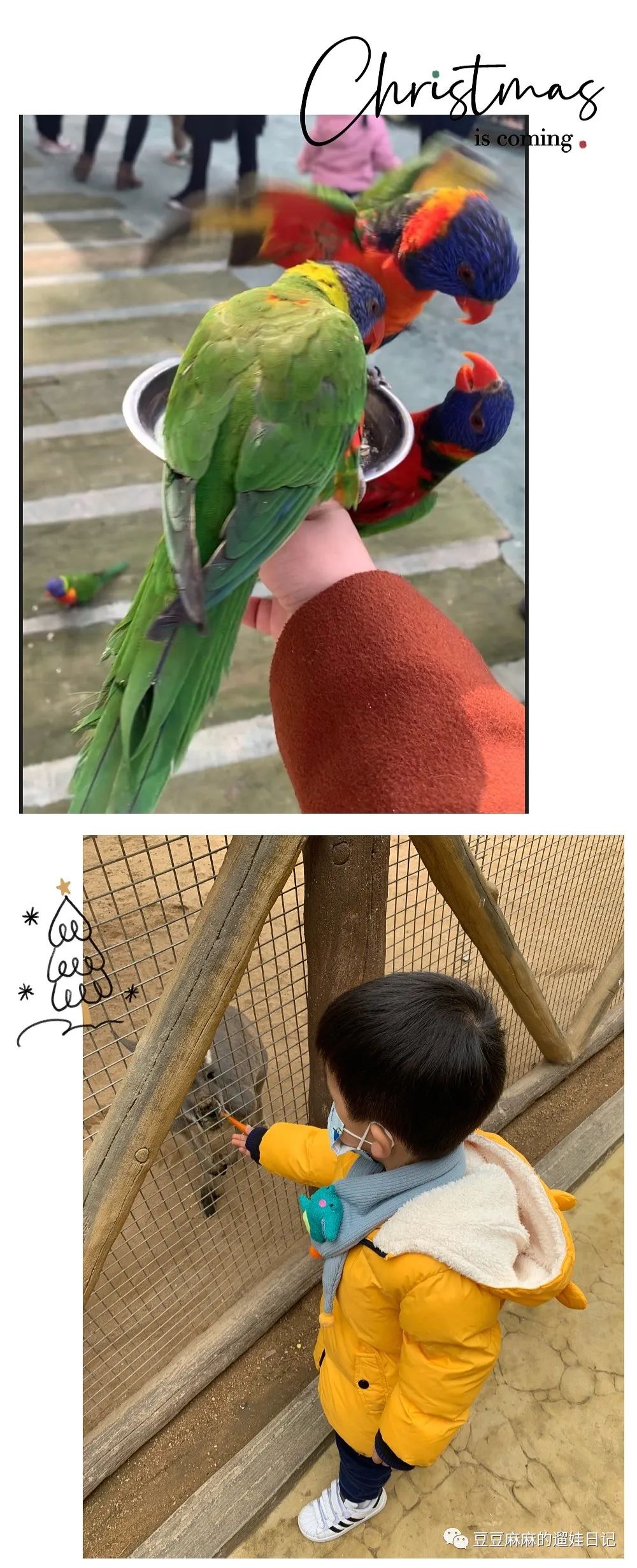 飞鸟世界和海洋世界,童话世界的小动物