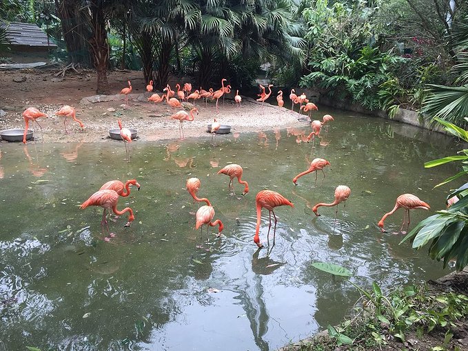 短途游｜最适合一月出行的3大城市，附超详细线路推荐