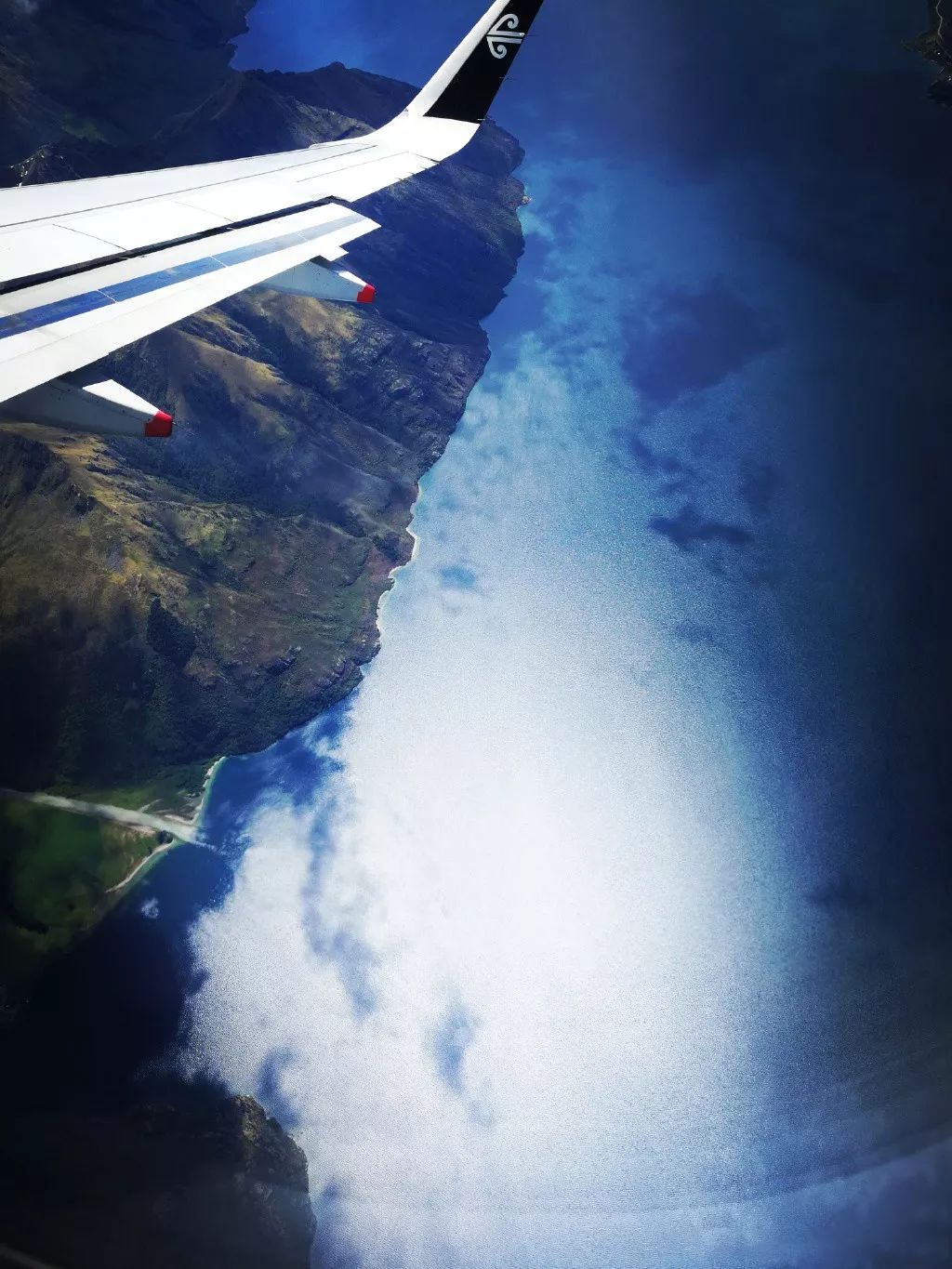 中国小伙去新西兰却横扫对手获得冠军，每份食材在手上都是艺术品