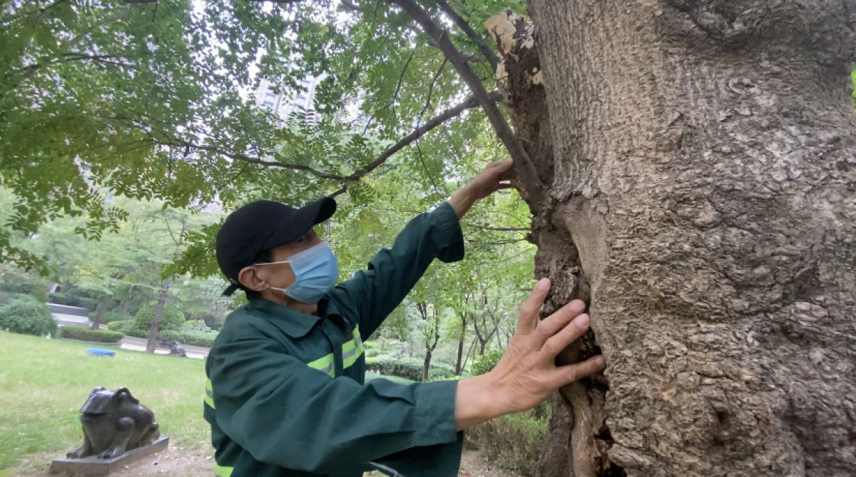 郑州绿化最好的小区,郑州水系景观最好的小区