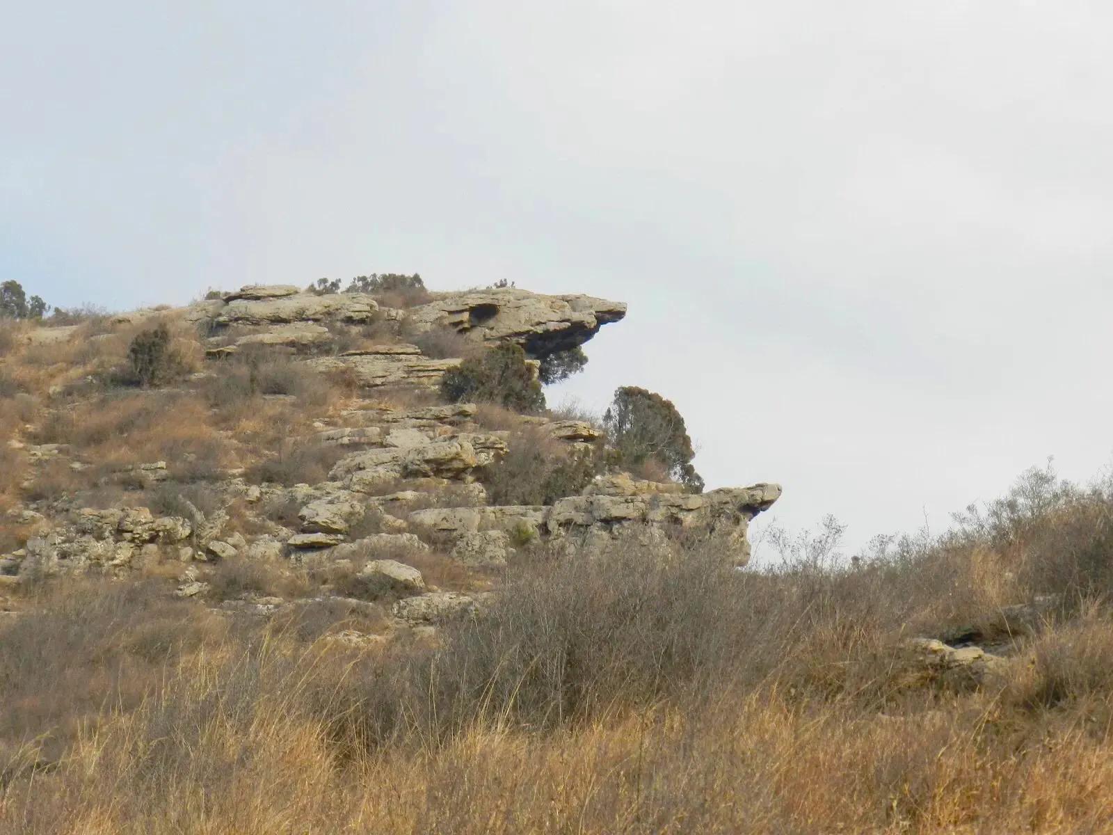 在山里迷路遇到狐狸,在山里迷路遇到了好漂亮的小姑娘