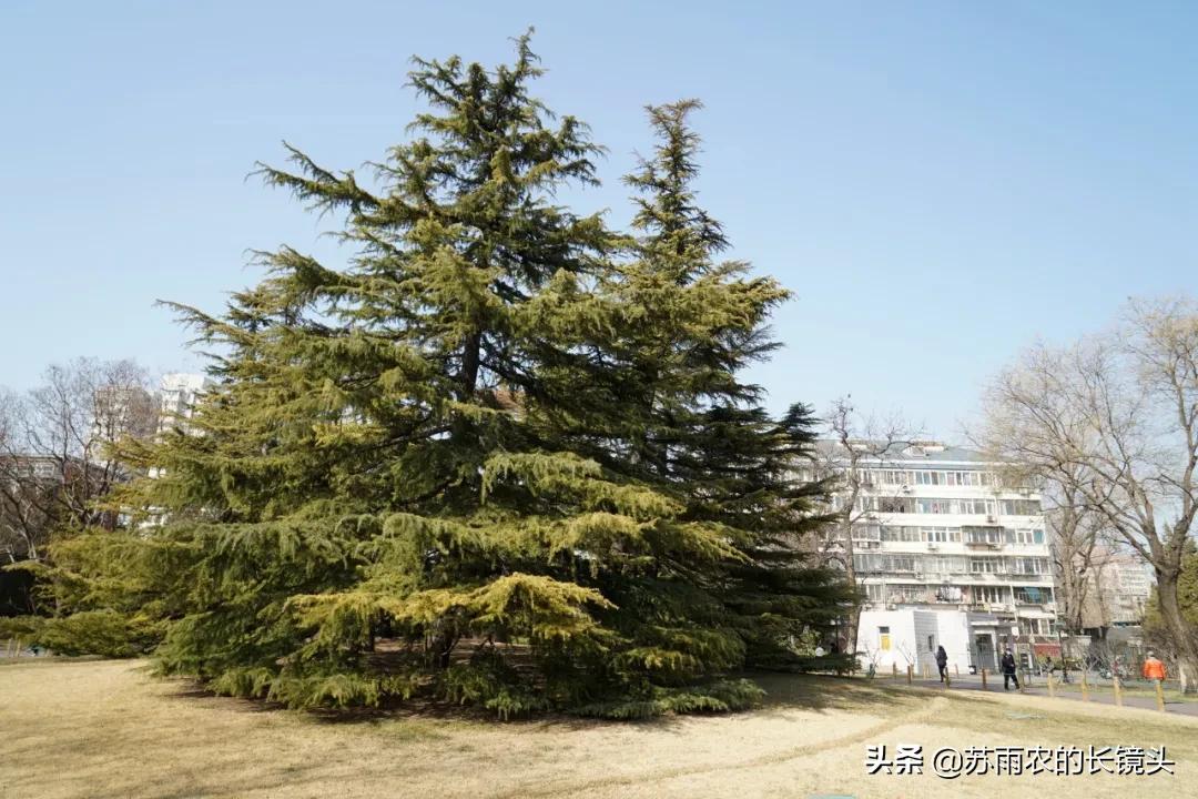 人定湖公园值得一去吗,北京人定湖公园旅游攻略