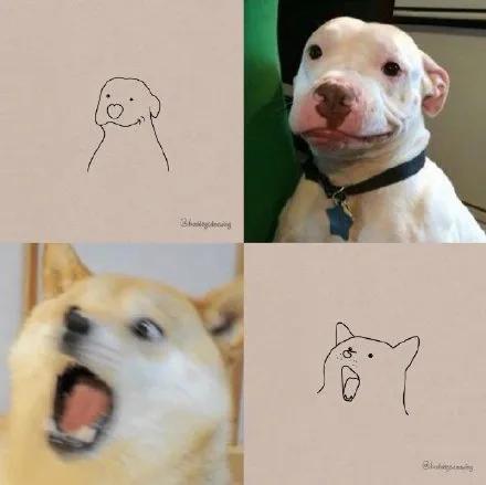 一波可爱动物简笔画,超火的简笔画动图