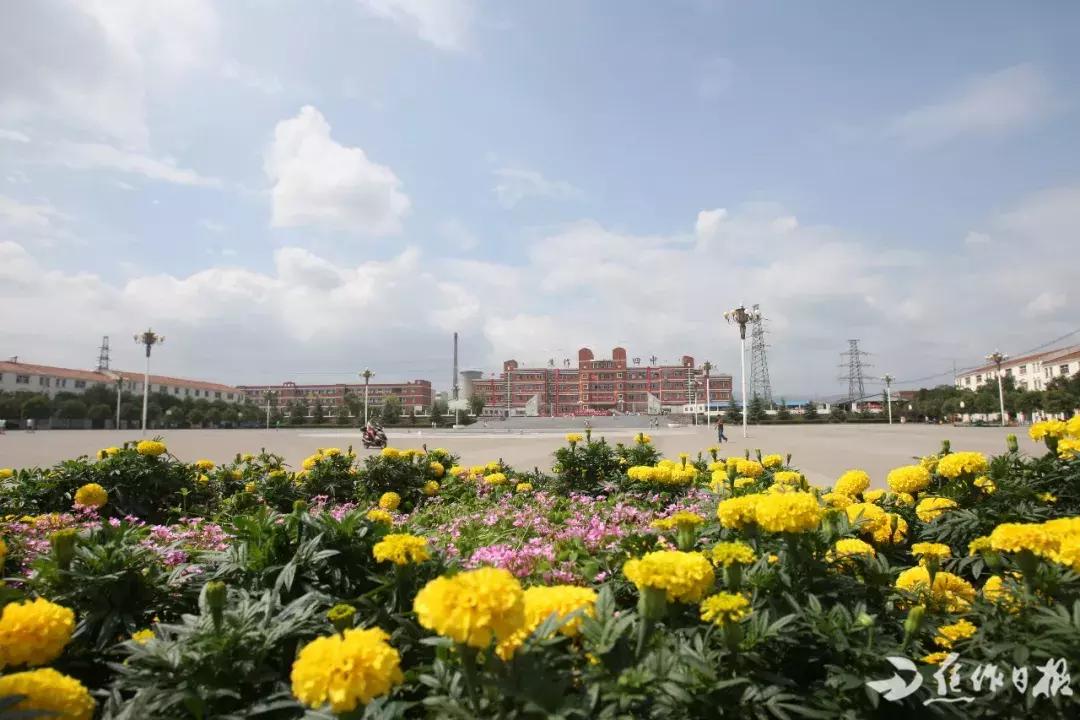 焦作小学升学率排行榜,河南焦作升学率最高的学校