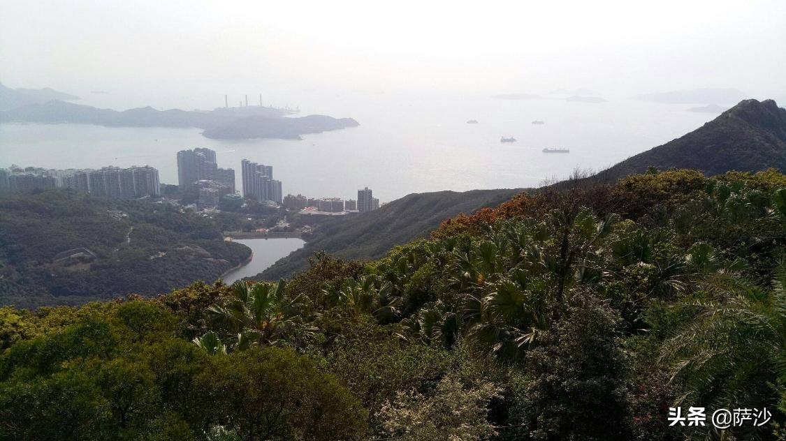 疯子杀女孩的新闻,疯子杀女大学生