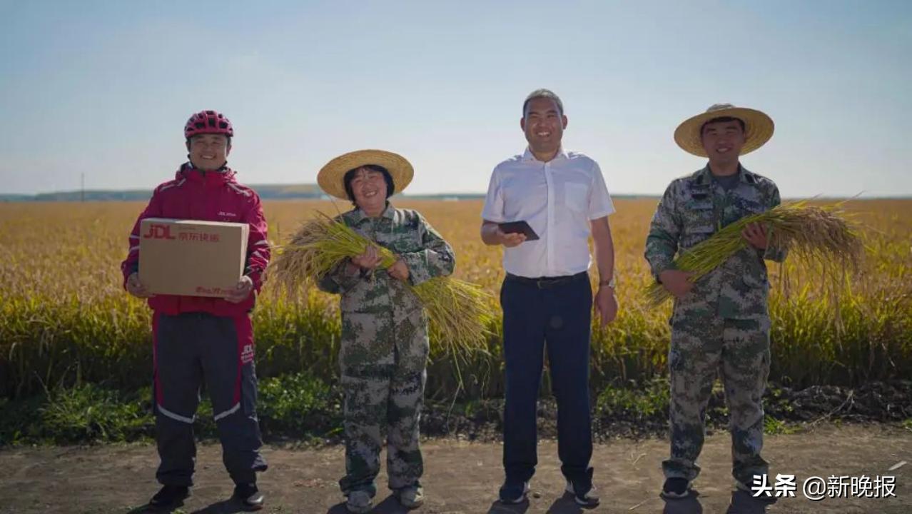 京东打通线上线下助力乡村振兴,京东助力乡村振兴和政府如何合作