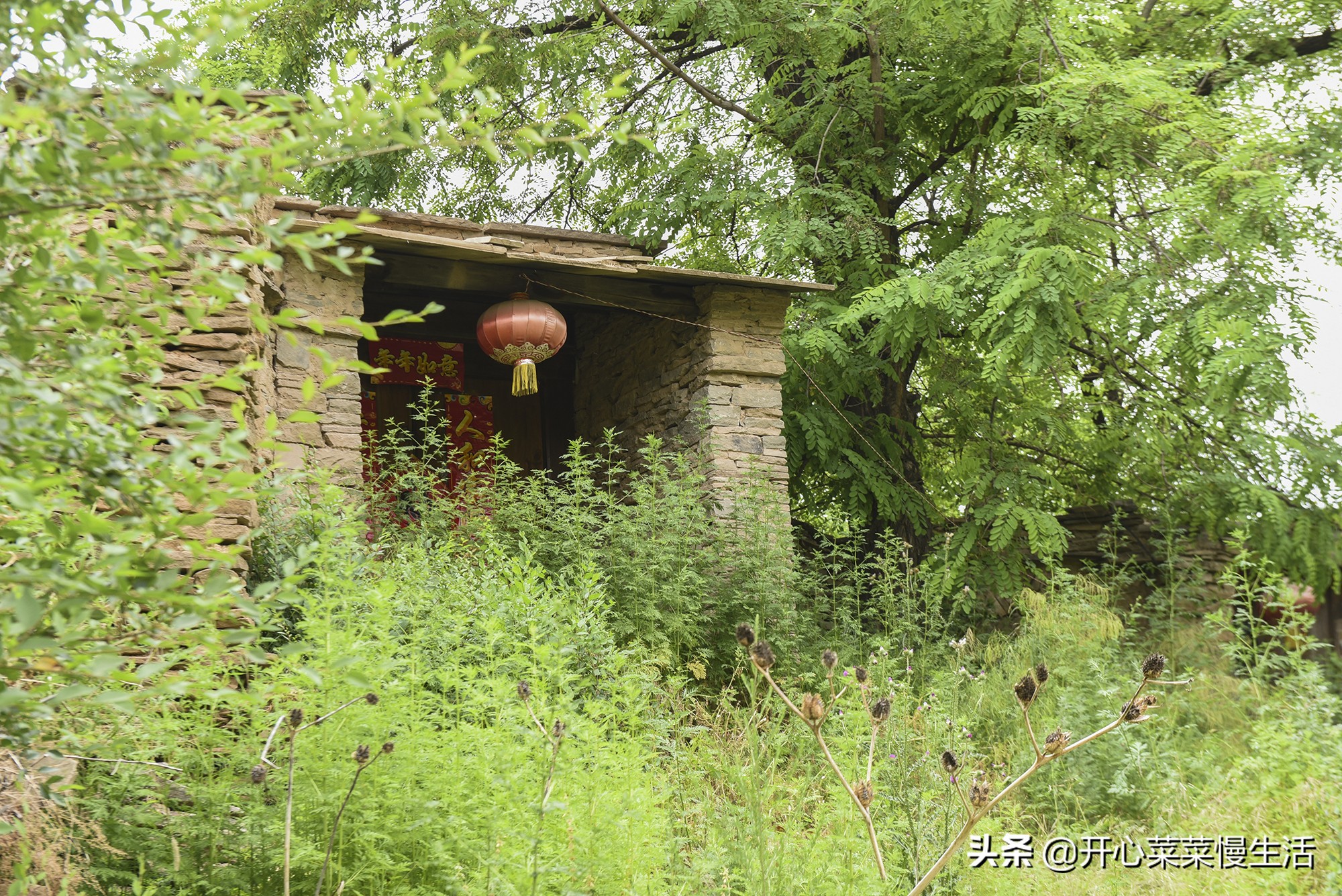 陕北黄土高坡旅游一日游,黄土高原陕北旅游