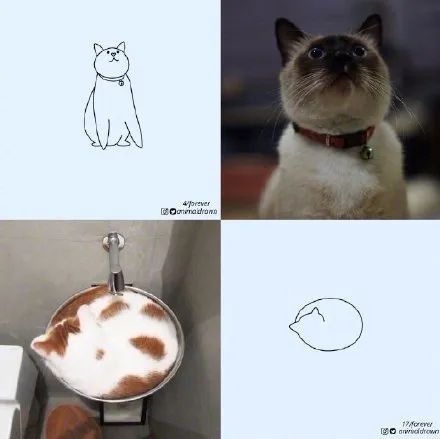 你和大触绘画的区别：一看就会一画就废，这波动物简笔画太形象了