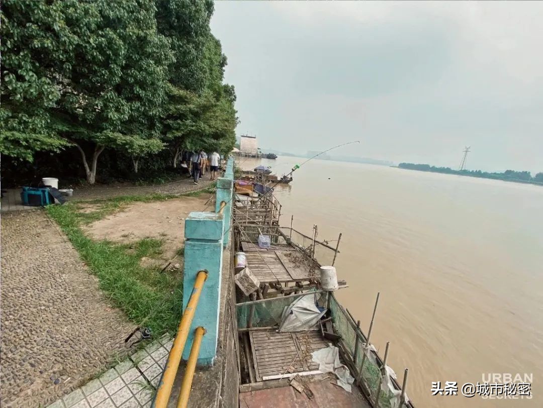 钱塘江鱼市,钱塘江神话传奇故事