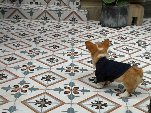 南宁比较有颜值的店,南宁特别好喝现磨咖啡店