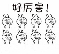 全国第十一届残运会辽宁奖牌榜,第十一届全国残运会辽宁