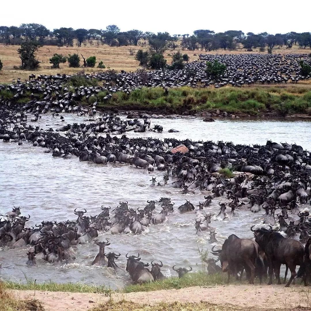 法罗群岛闭岛,真实的法罗群岛