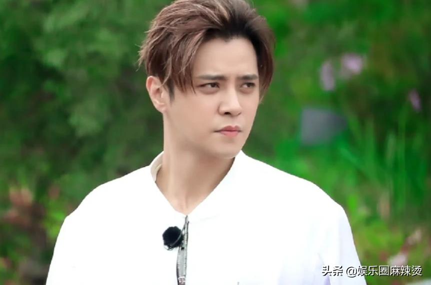 罗志祥解散男团吗,罗志祥优我女团解散原因