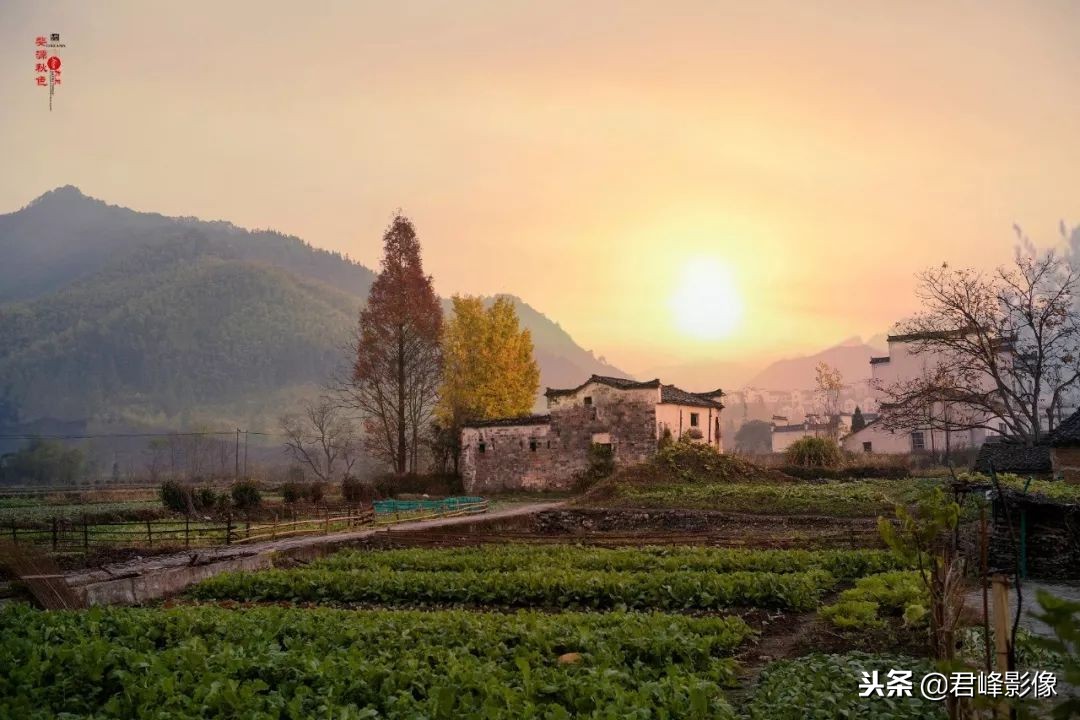 2018年最值得感动的时刻,对于2018你最大的收获是什么