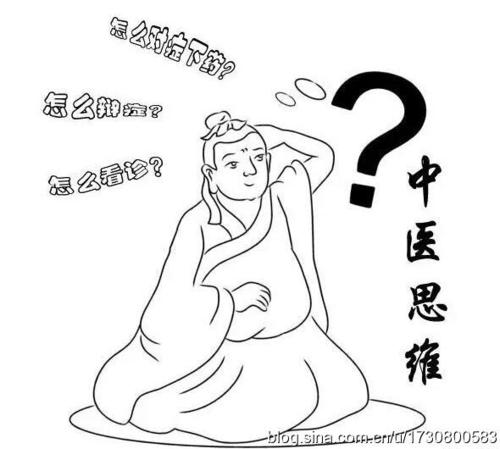 中医的整体观与辨证论治,中医微观思维分析