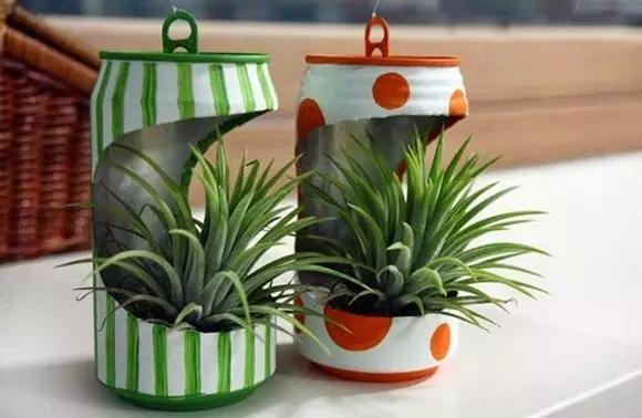 家里花瓶插花放点什么,创意养花花瓶