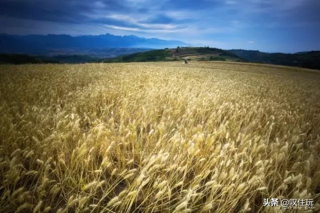 西安杨贵妃同款泡池酒店,杨贵妃西安温泉