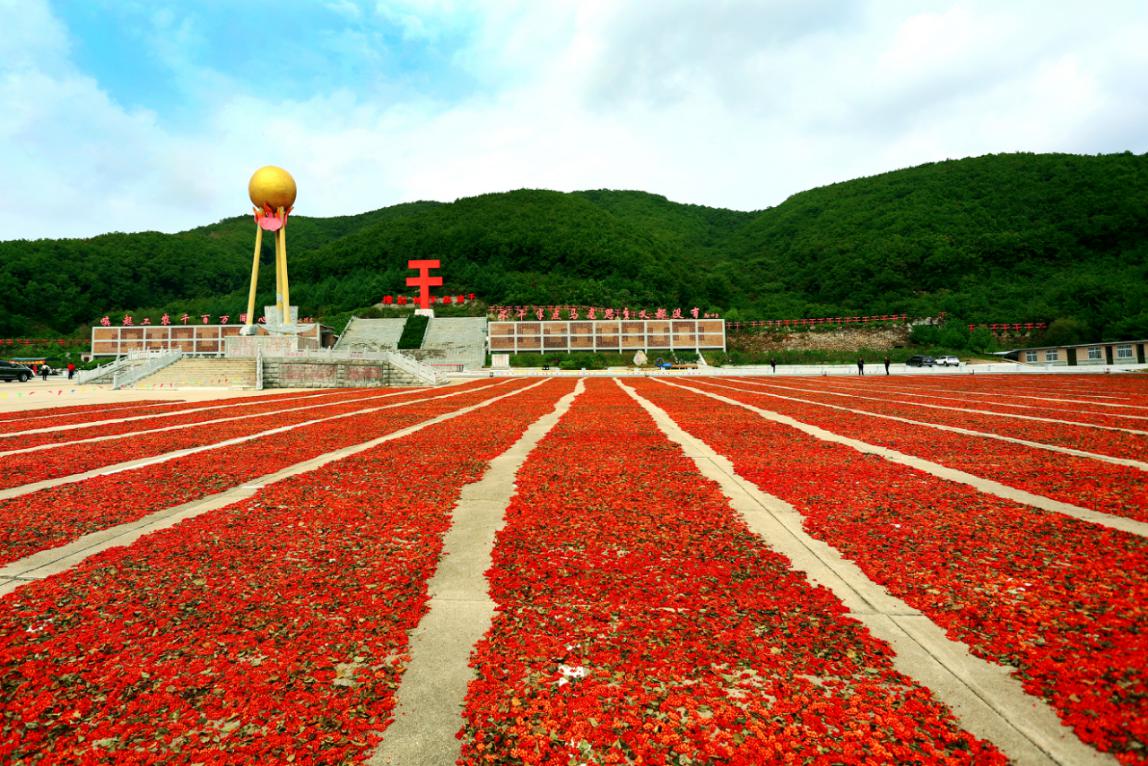 好戏连台！凤城“十节”正精彩……