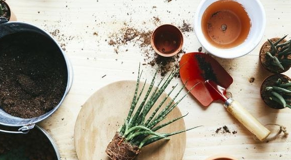 养花土壤“硬邦邦”？改了4个“臭毛病”，松软如面包，养啥都壮