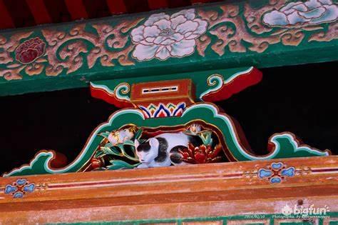 明日方舟种族考据,明日方舟考据党