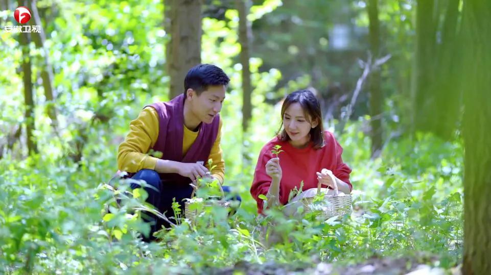 在最好的心灵归宿，和民宿体验官品一口青团与春天有个约会