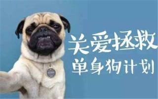 北京相亲会海归硕博专场,北京国企公务员相亲会