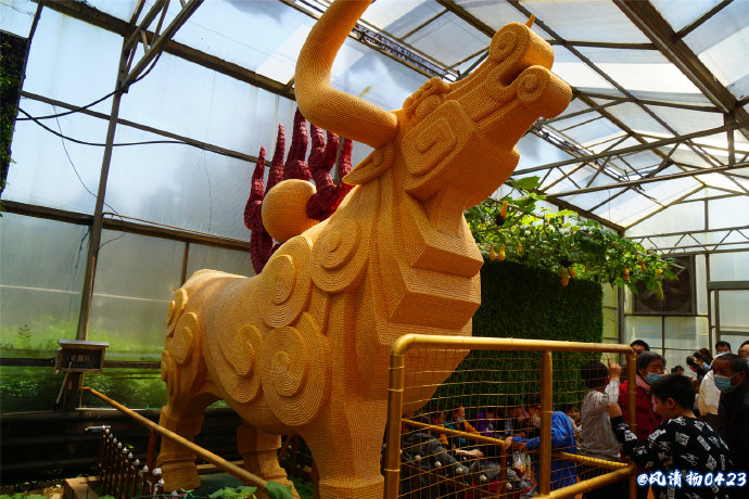 菜博会第一届,2022年菜博会天下情怀景观