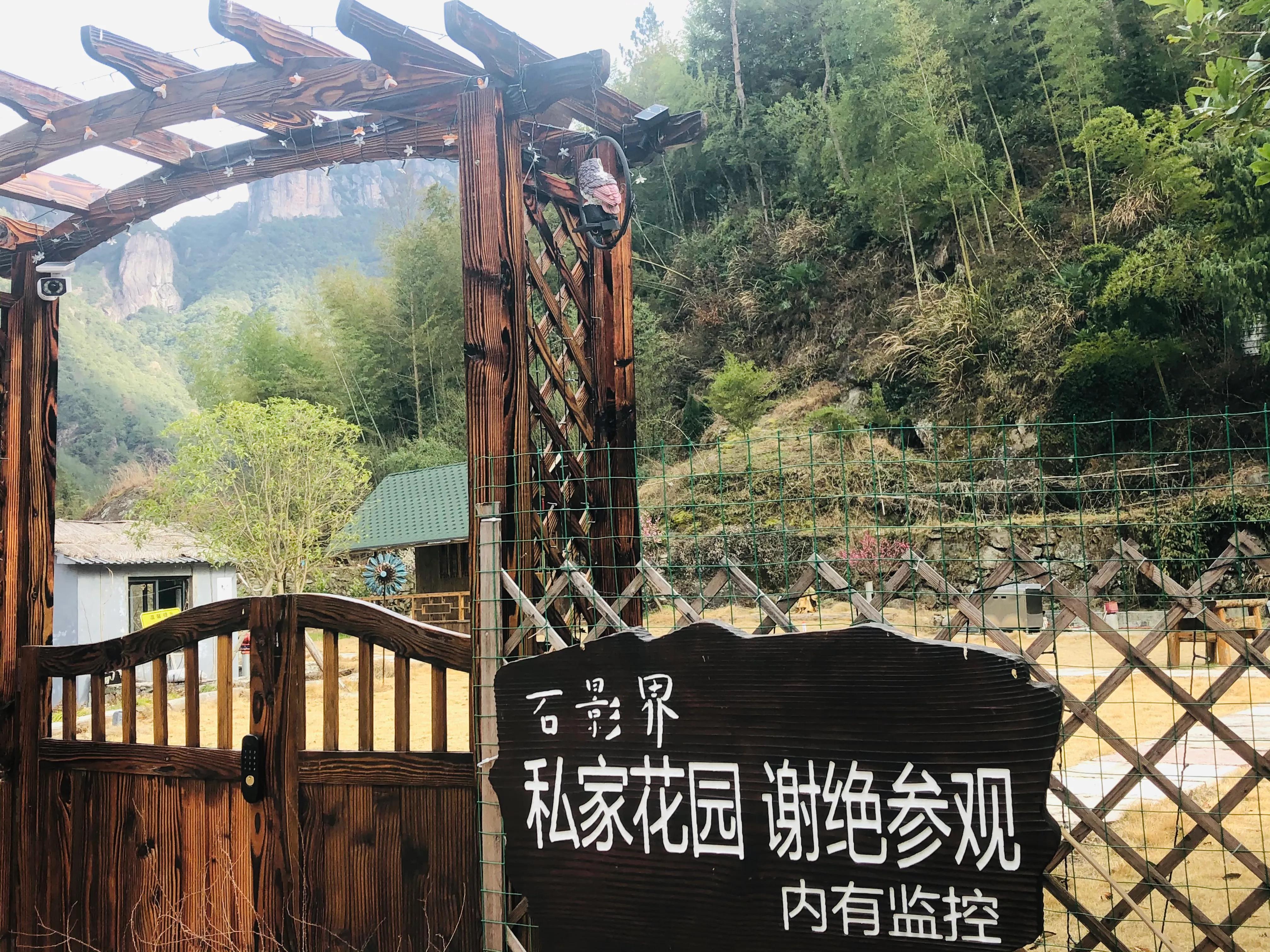 误打误撞进入传说中的八角金盘