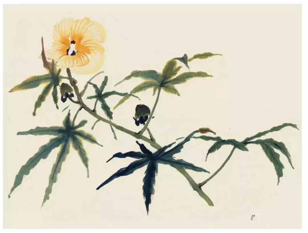 国画中各种花卉的画法,国画花卉画法步骤视频教程