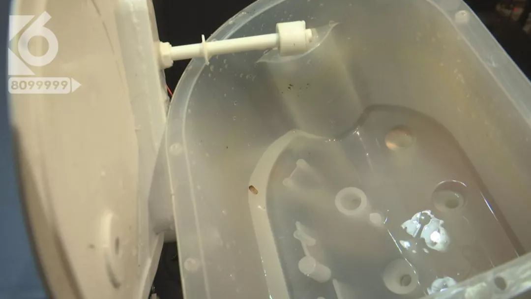 饮水机里全是蟑螂,饮水机里有蟑螂的处理方法