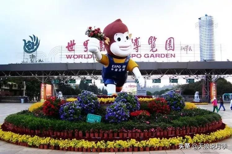 去过世园会,有人去过世园会吗