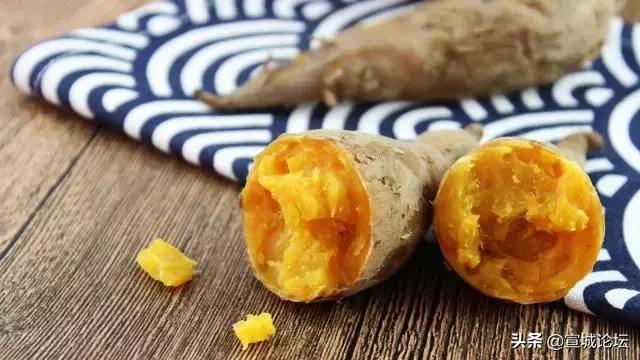 比毒蛇还毒的虫子,比毒蛇还要毒的东西