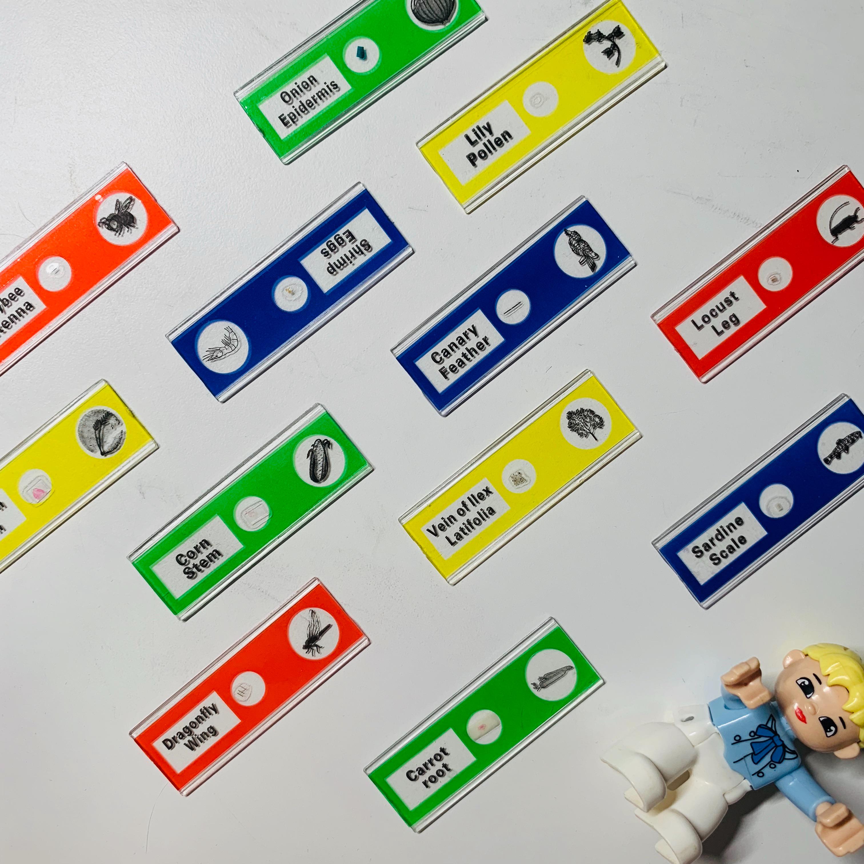 买玩具的十大坏处,第一次入手玩具需要关注什么