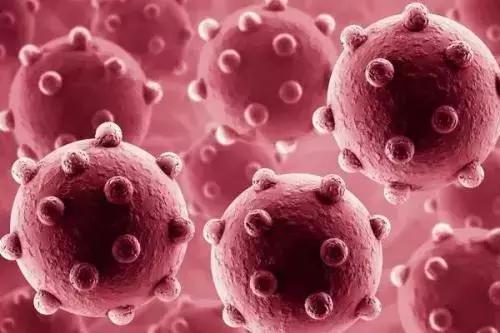 菌群在呼吸道和口腔炎症和感染中的作用