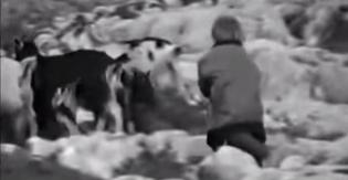 对，2018年的世界最佳，就是他