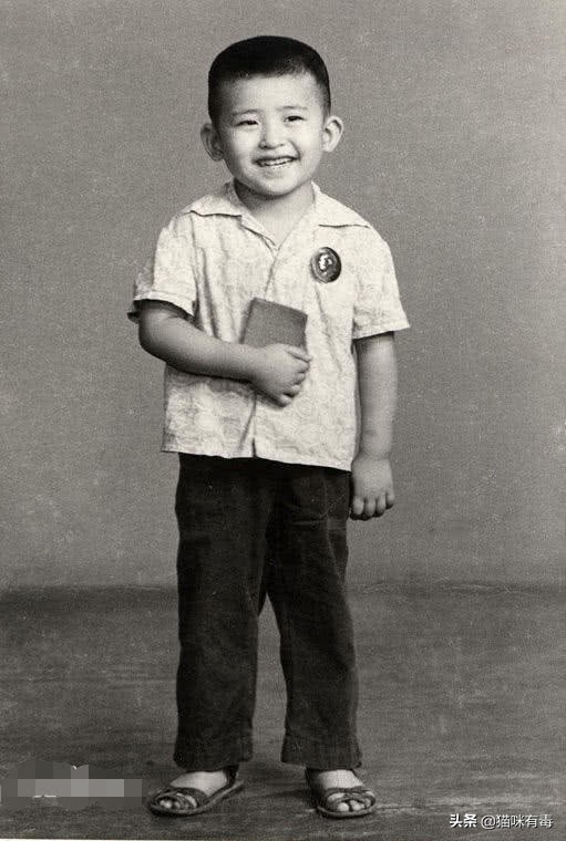 刘欢个人资料与婚姻,刘欢和妻子罕见同框视频