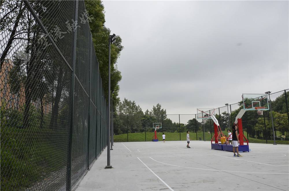 双流新修的公园,双流2022年改造公园