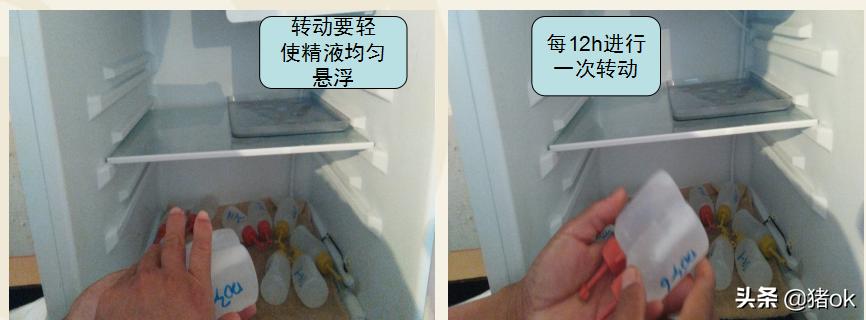 种公猪怎样养精子成活高,怎样提高种公猪的精子