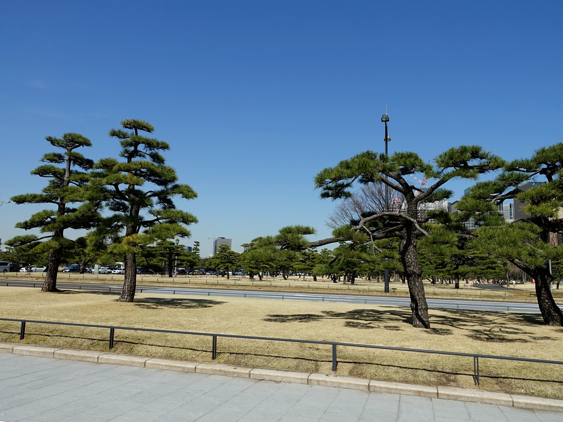 日本皇宫的屋顶为什么是绿色的,日本皇宫为什么这么简陋