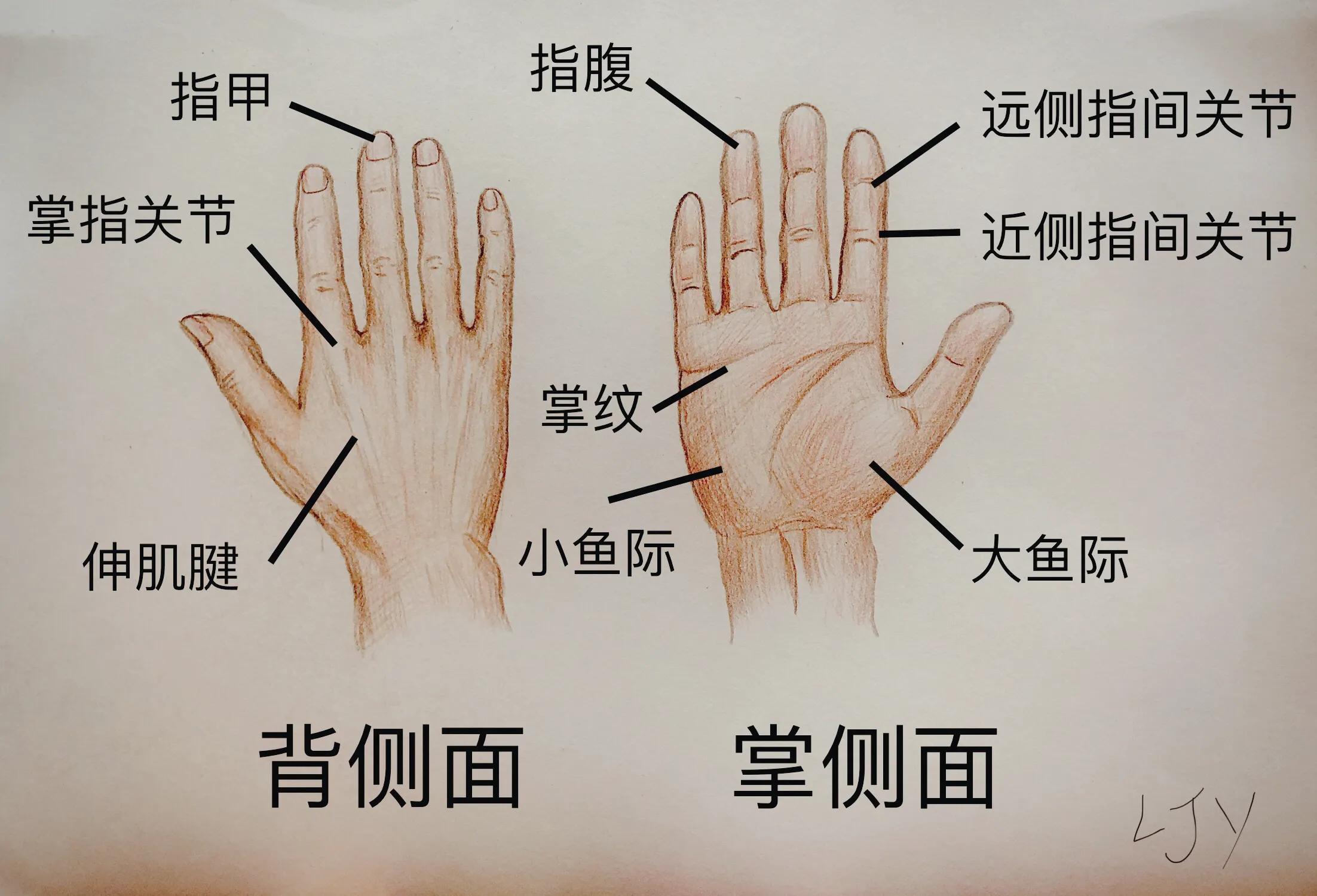 手被割伤如何处理,手被割伤了较深要如何处理